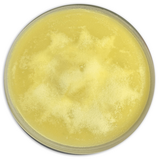 Photo of Raw Mango Shea Butter